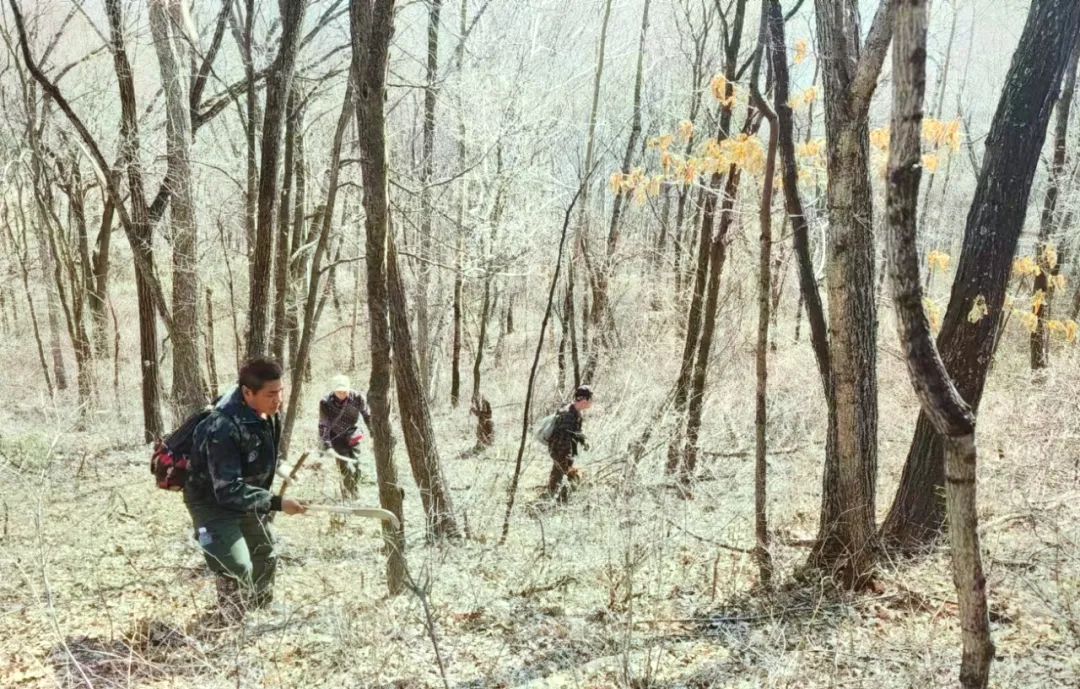 안전한 놀이터 검증