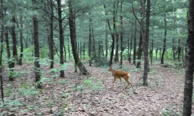 놀이터 토토 사이트