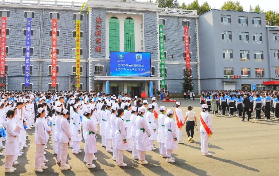 메이저 놀이터 순위